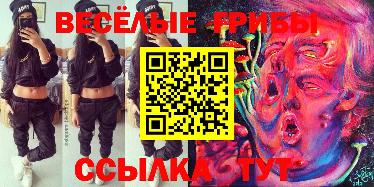 даркнет сайт  Вход с VPN  Галлюциногенные грибы мицелий  Ессентуки  Галлюциногенные грибы Magic Shrooms 